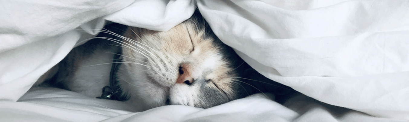 Comment bien dormir ? 13 conseils pour mieux dormir