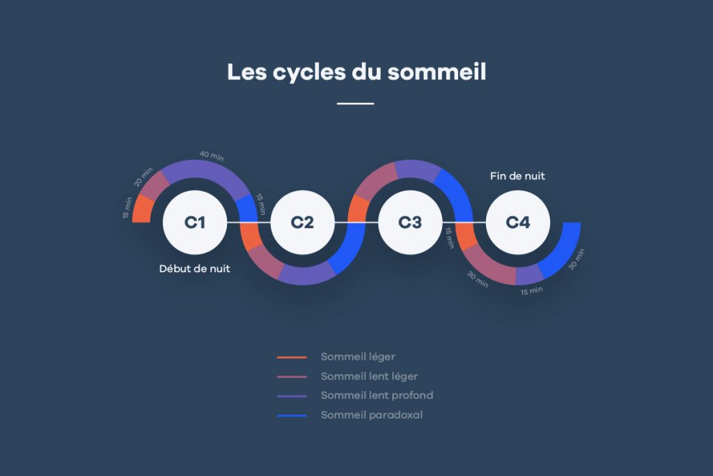 Les Cycles Du Sommeil : Phases, Durée, Et Fonctionnement - Hypnia